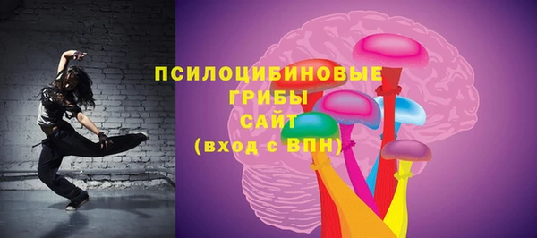 стафф Аркадак