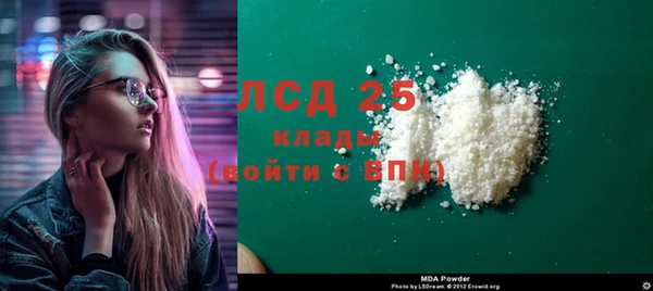 стафф Аркадак