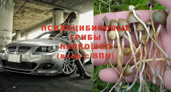 стафф Аркадак