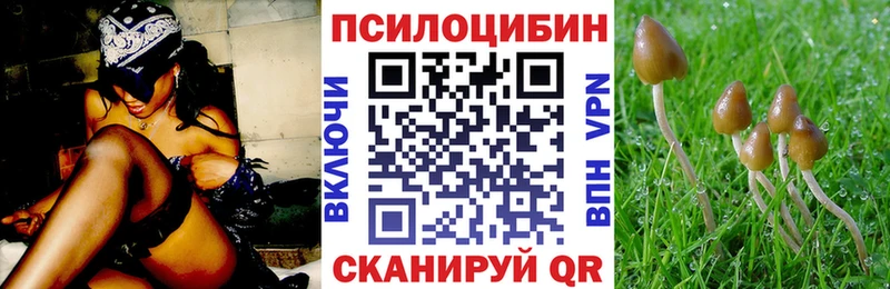 Купить где  Судак  Галлюциногенные грибы прущие грибы 